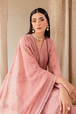 Pink Rosa
